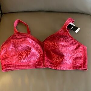 Deyllo floral no underwire bra burgundy